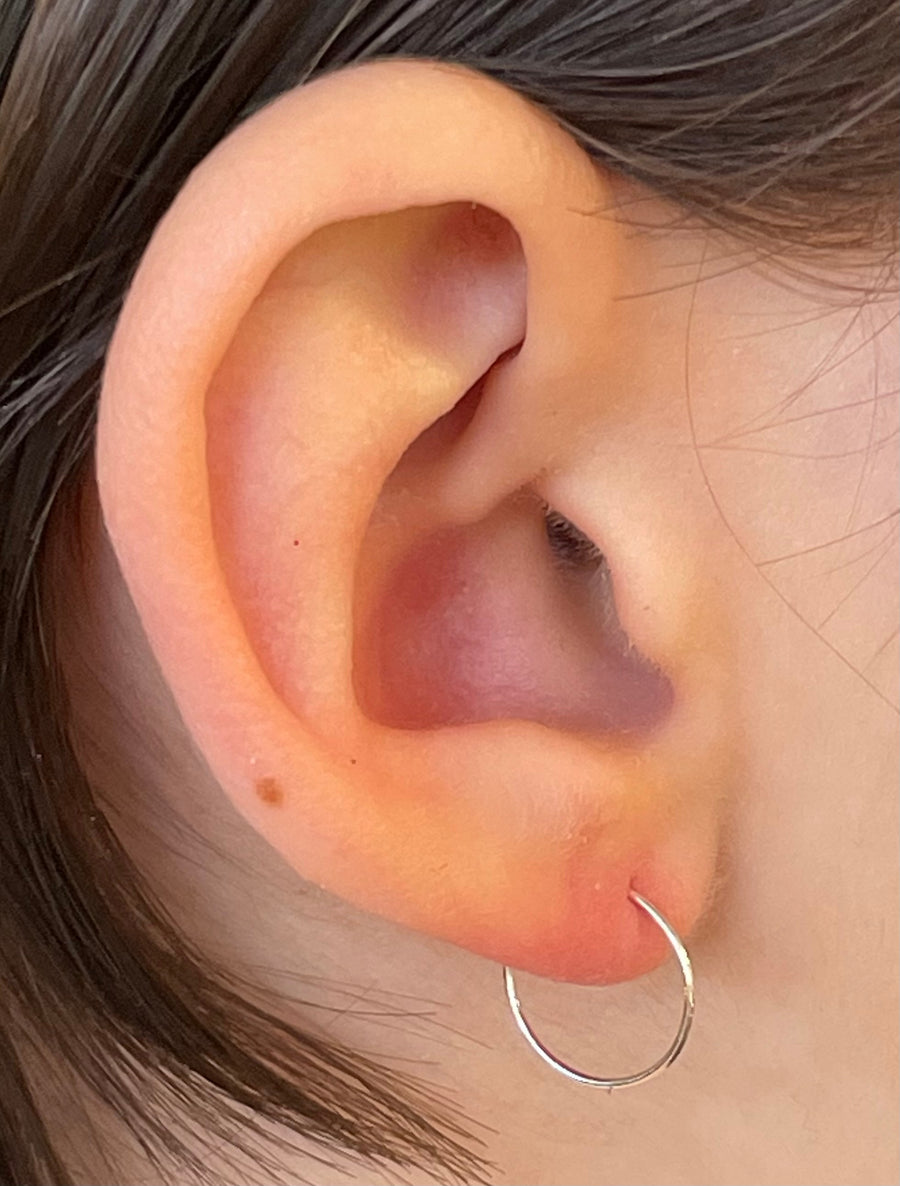 Tiny hoop earrings, gold filled, sterling silver & niobium, 4 sizes