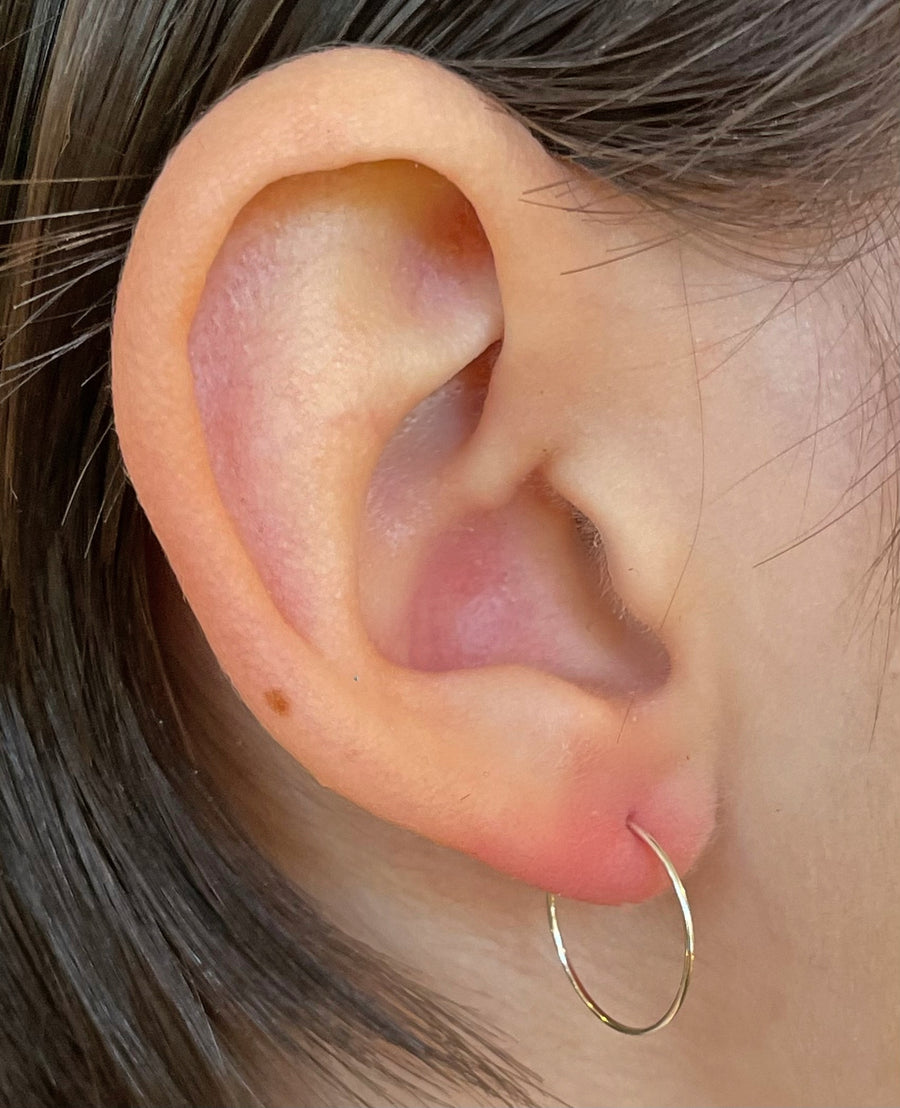Tiny hoop earrings, gold filled, sterling silver & niobium, 4 sizes