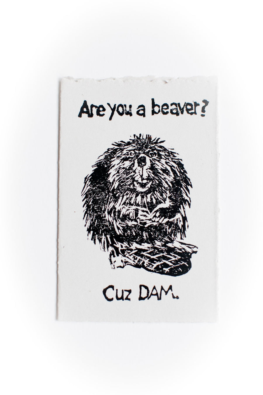 "Are you a beaver?" hand printed card
